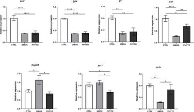 Dietary Phytogenics and Galactomannan Oligosaccharides in Low Fish Meal and Fish Oil-Based Diets for European Sea Bass (Dicentrarchus labrax) Juveniles: Effects on Gill Structure and Health and Implications on Oxidative Stress Status